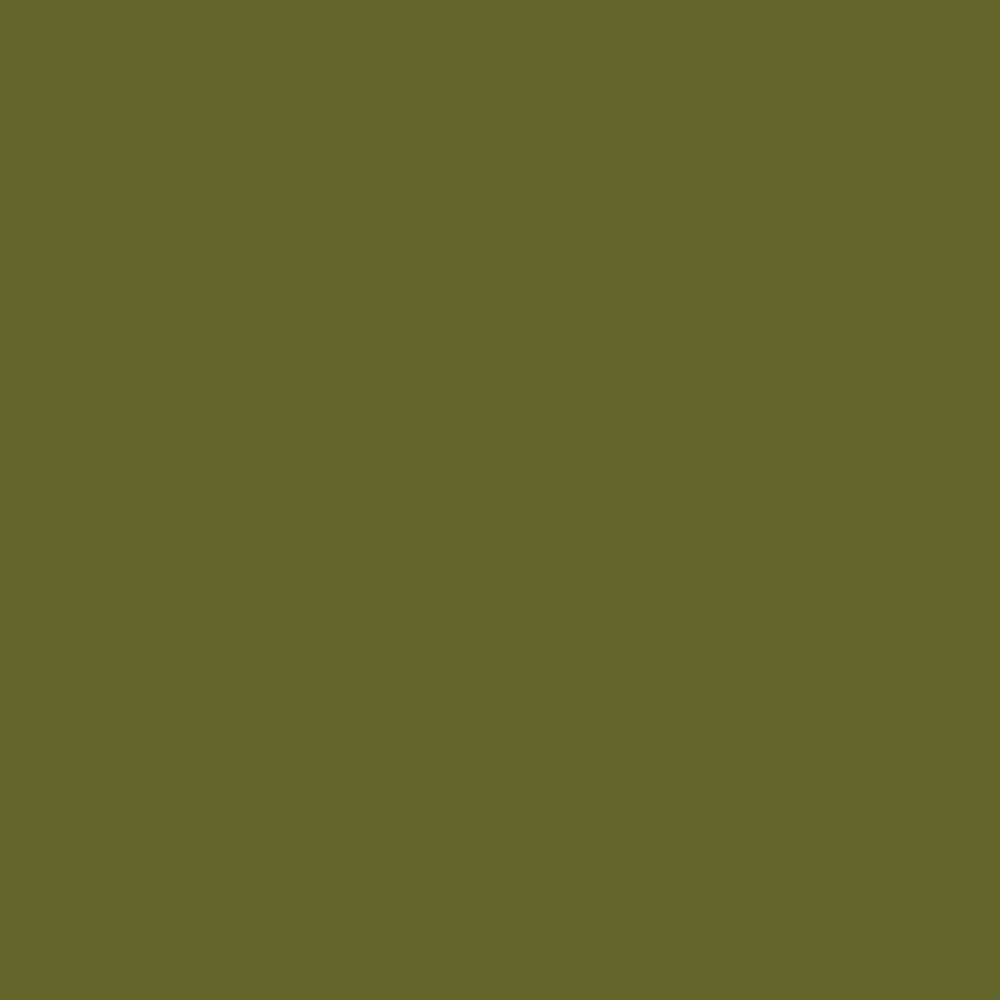 ENCRE COLOREX 45 ML OLIVE
