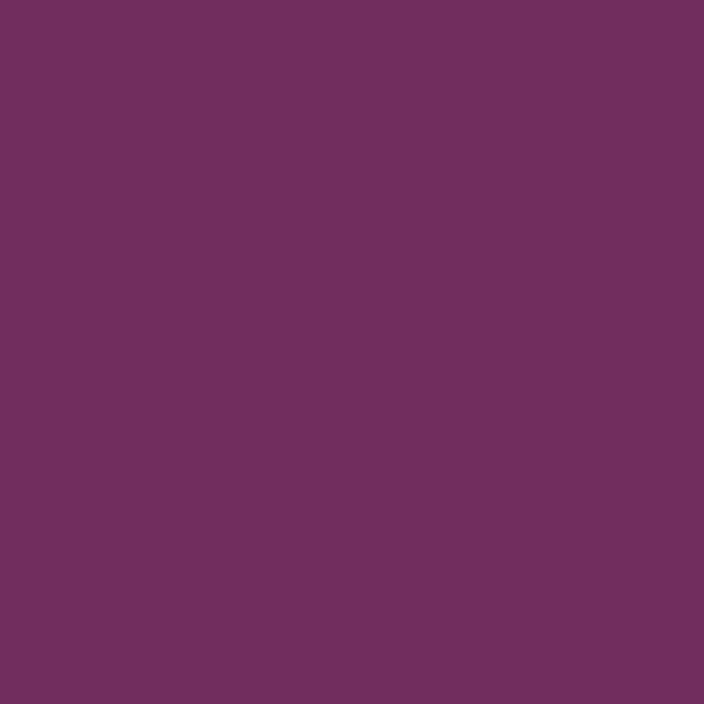 ENCRE COLOREX 45 ML PRUNE