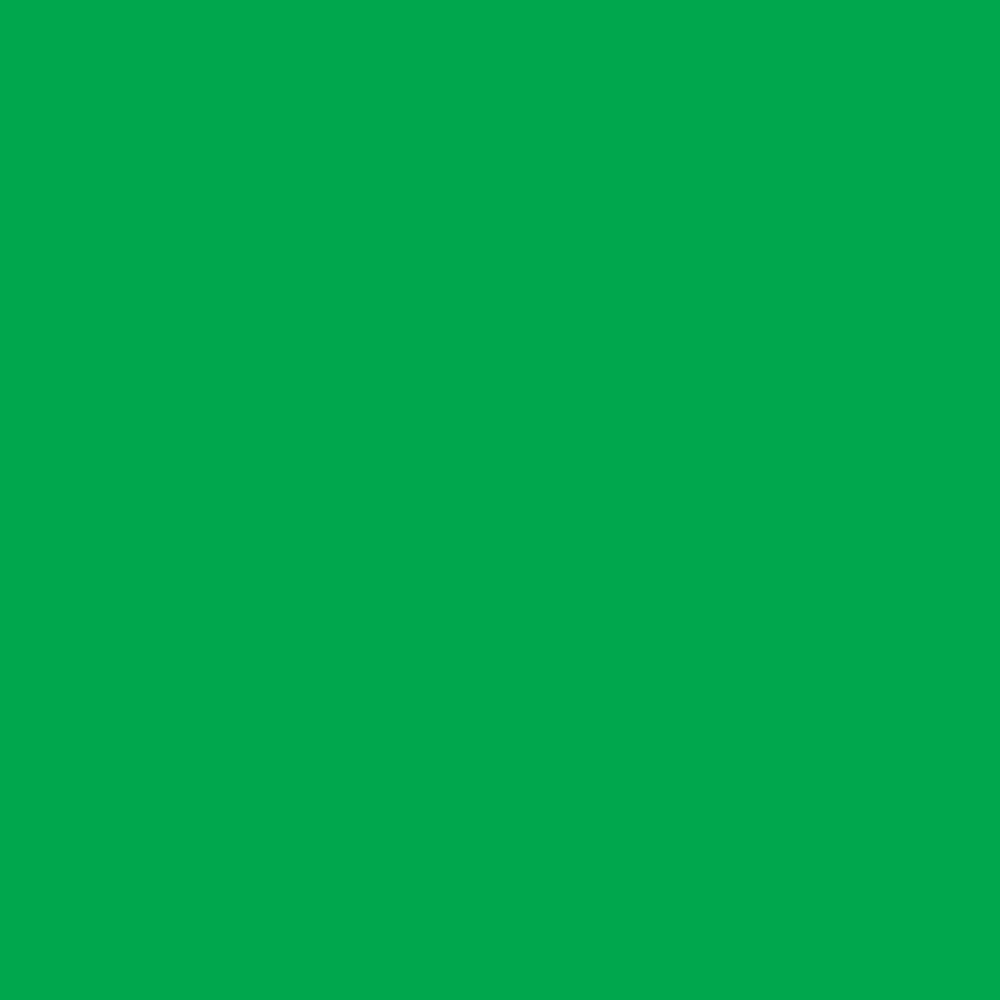 ENCRE COLOREX 45 ML VERT D'ORIENT