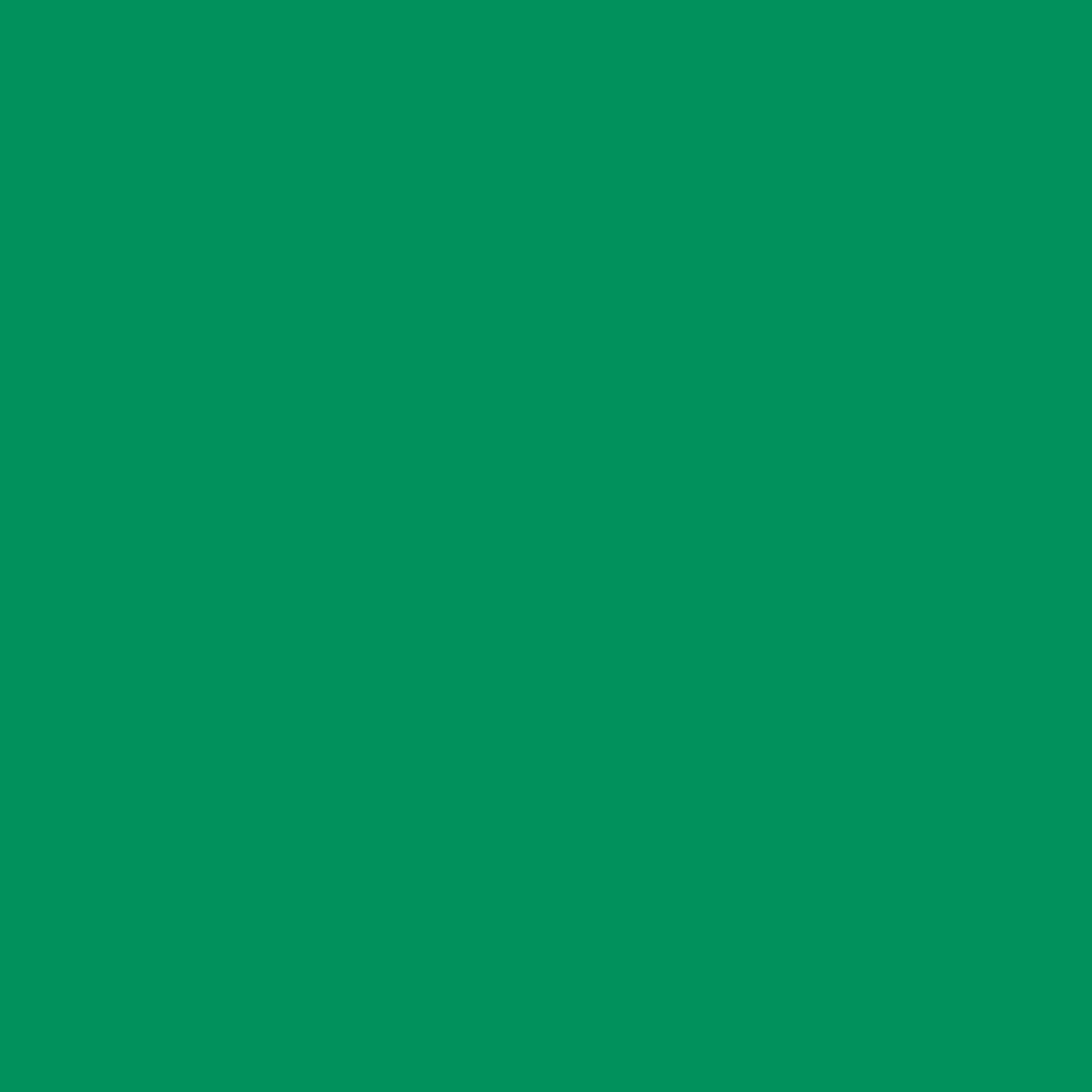 ENCRE COLOREX 45 ML VERT FORET