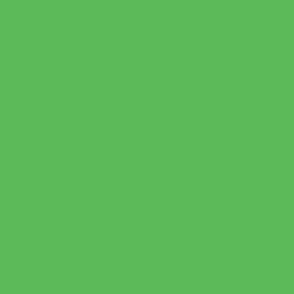 ENCRE COLOREX 45 ML VERT LUMIERE