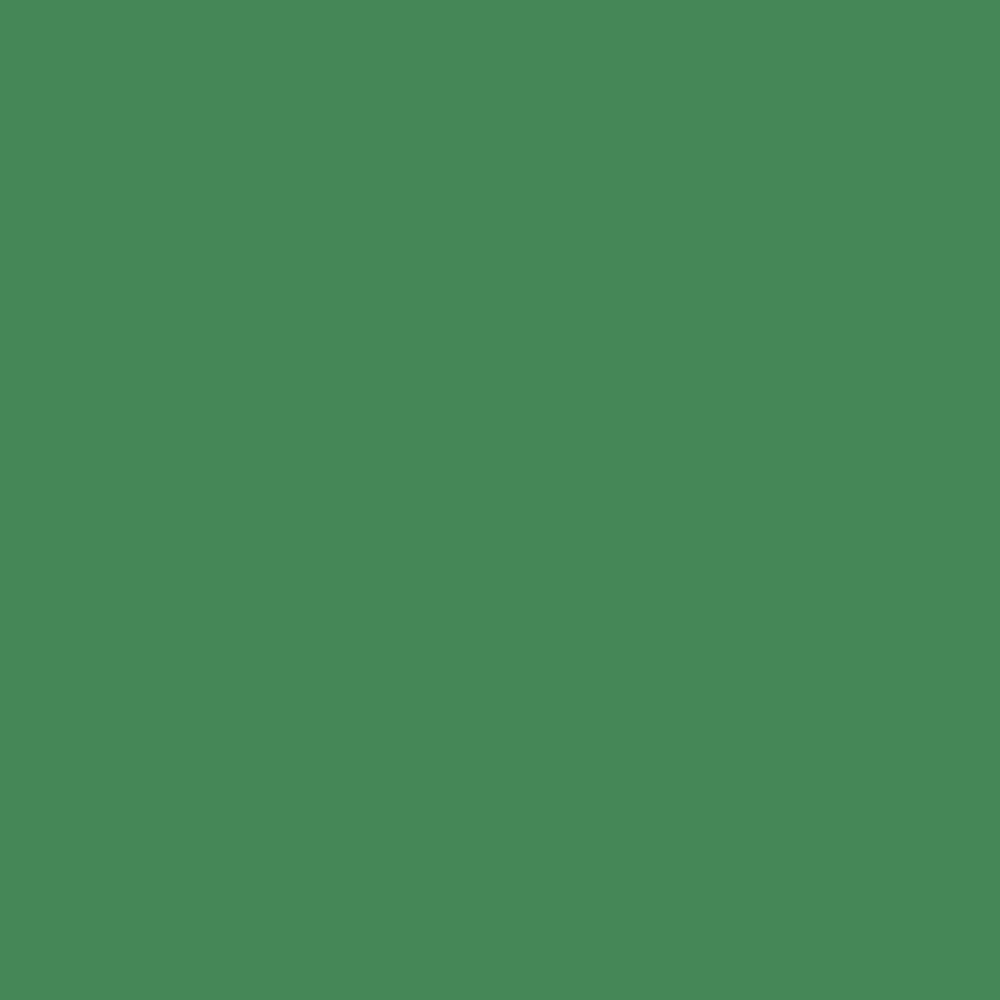 ENCRE COLOREX 45 ML VERT MOUSSE