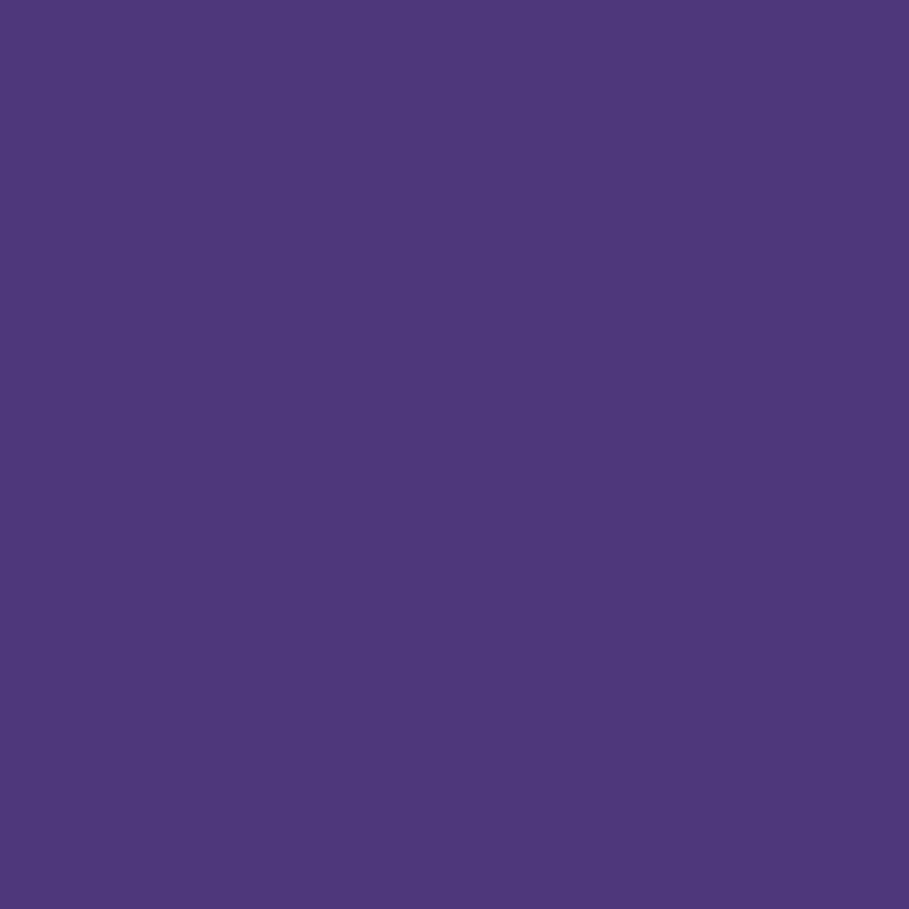 ENCRE COLOREX 45 ML VIOLET